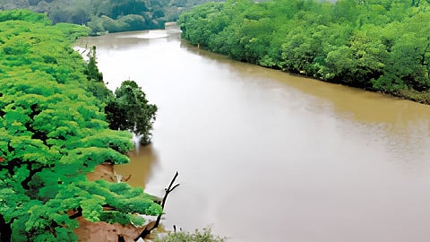  Mhadei