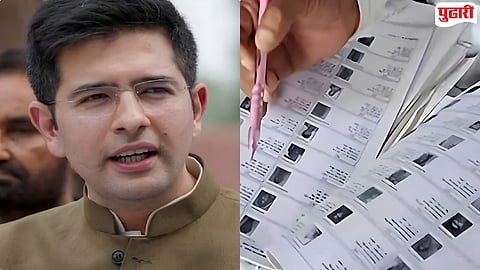 Raghav Chadha Punjab voter list
