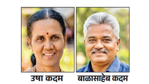 Sangli News 