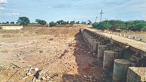 Solapur News: वैराग भागात सोयाबीन, मूग, उडीद करपले