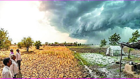 Nashik Rainfall Deficit | इगतपुरीत पाऊस घटल्यामुळे जिल्ह्यात २१ टक्के तूट; पिके संकटात येवला, मालेगाव, नांदगावमध्ये दुष्काळजन्य परिस्थिती