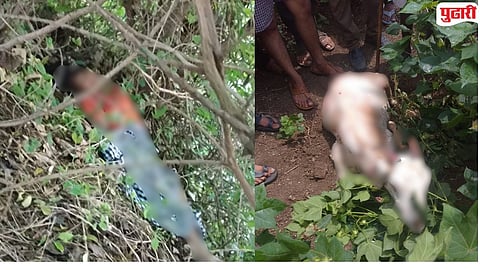 Amravati Tiger Attack : मोर्शीनंतर आता सोनोरीत थरार! नरभक्षक वाघिणीच्या हल्ल्यात तरुणी ठार, संतप्त गावकऱ्यांचा वन विभागावर रोष