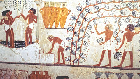 Ancient Egypt Wine |