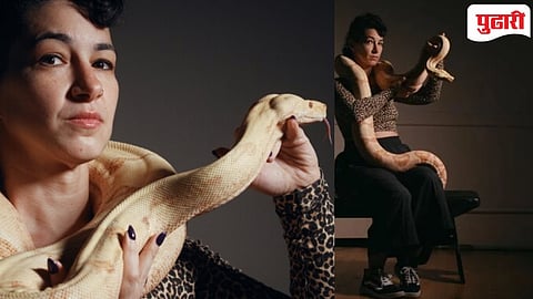Python audition