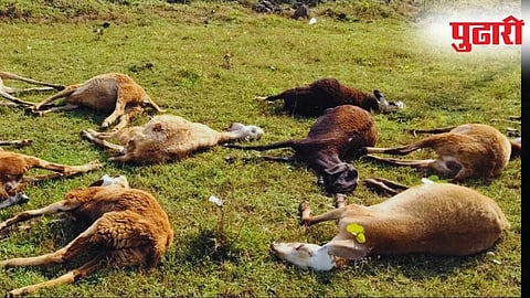 प्रातिनिधीक छायाचित्र