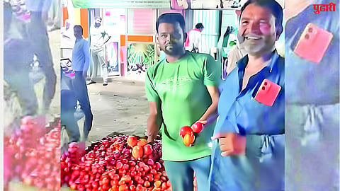 Tomato prices drop