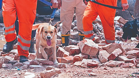 Delhi Building Collapse Case |