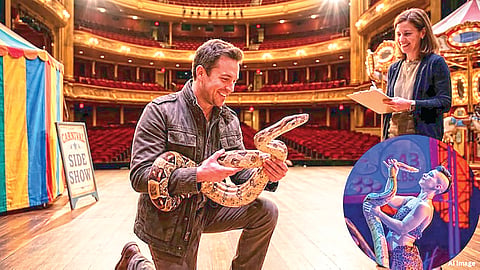 Snake Audition |