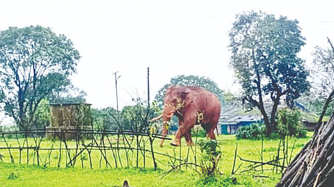 Kolhapur News