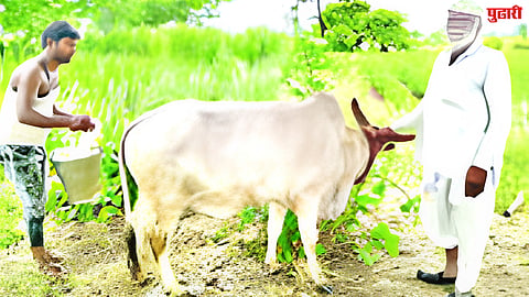Ghansawangi