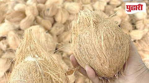 Coconut price hike