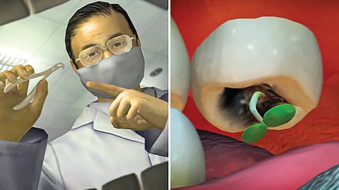 Guava Seed Germination in Tooth |