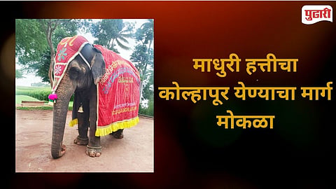 Vantara Madhuri Elephant Returning  Nandani Math  