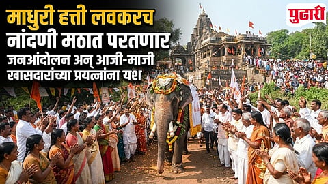 Madhuri Elephant Returning Nandani