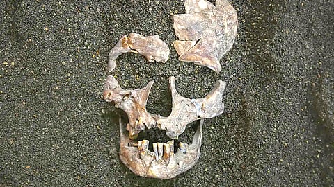 Ancient Drug Use |
