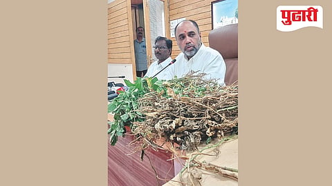 Marathwada Kharif crop crisis