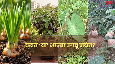 Vastu Tips