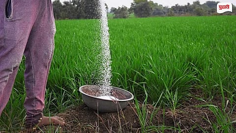 45 Kg Fertilizer Bag
