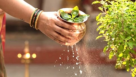 Tulsi leaves water benefits