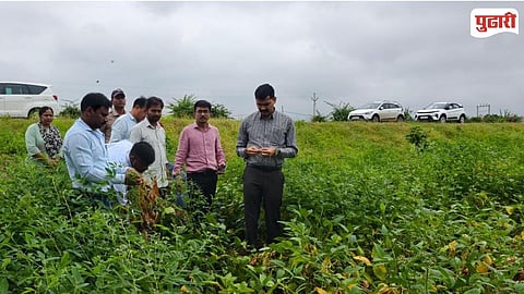 Washim Collector Crop Damage Inspection