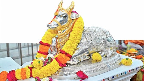 Shree Saibaba Temple |