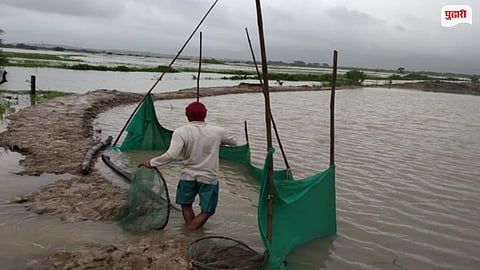 Alibag Pen Kharland Farming