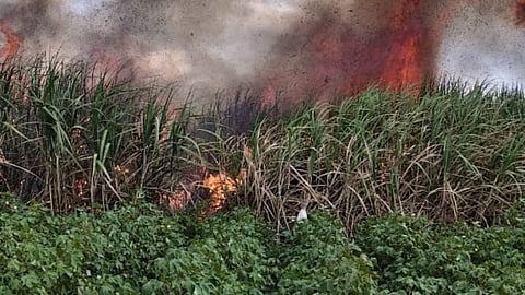 Beed sugarcane fire 