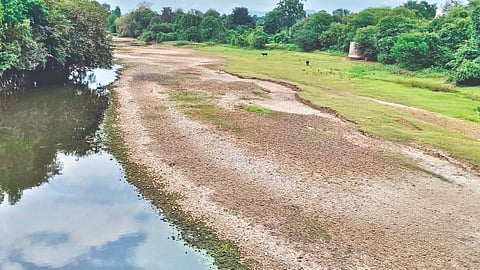 Satara Water Shortage : ऐन पावसाळ्यातच उरमोडीचे पात्र कोरडे; पिके कोमेजली