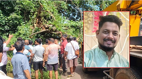 Devgad Nipani Highway Tree Collapse

