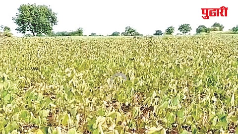 Jalna Rainfall Shortage