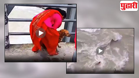 Viral Video Woman throws dog in river