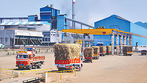 Sugar Production