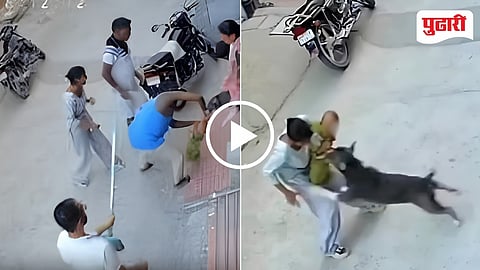 Dog Attack Video