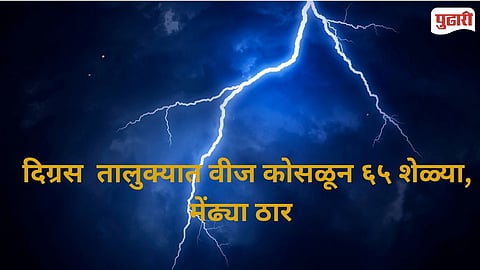  Digras Lightning Strike Kills Goats Sheep