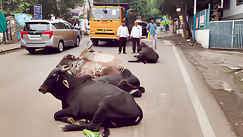 Ratnagiri 