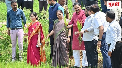 पालकमंत्री डॉ. अशोक उईके यांनी वरोरा तालुक्यात धान व कपाशी पिकांची प्रत्यक्ष पाहणी
