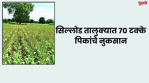 Crops Damaged