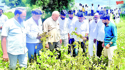 Jalna News 