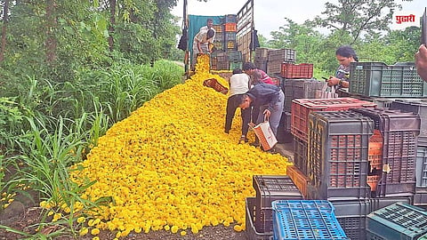 Marigold Flower