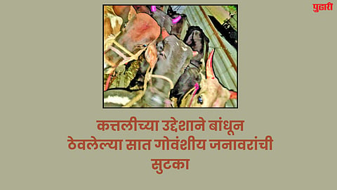 Jalna News 