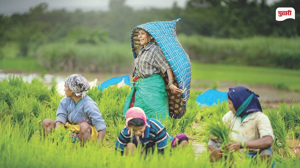 महिला शेतकऱ्यांना अधिकृत ओळख देणारा कायदा जाहीर