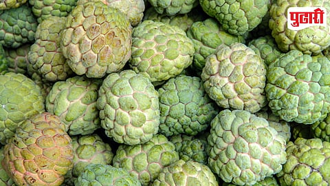 Custard Apple