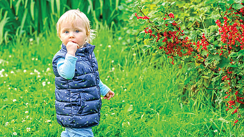 Child Hair Color Changes | 