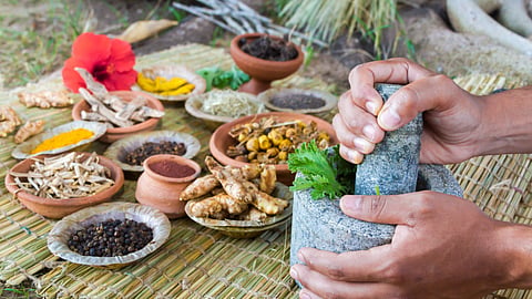 Ayurveda Gurukulam
