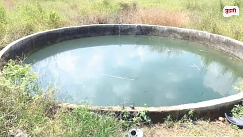 Irrigation Well Subsidy