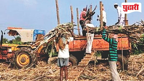 Beed sugarcane workers