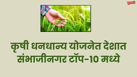Agriculture and Food Grains Scheme