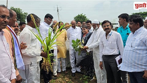 MLA Vilas Bhumre  Drought Inspection