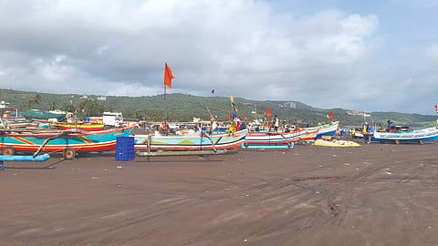 Fishing News 