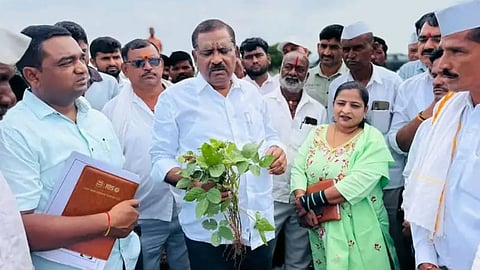 Beed news 